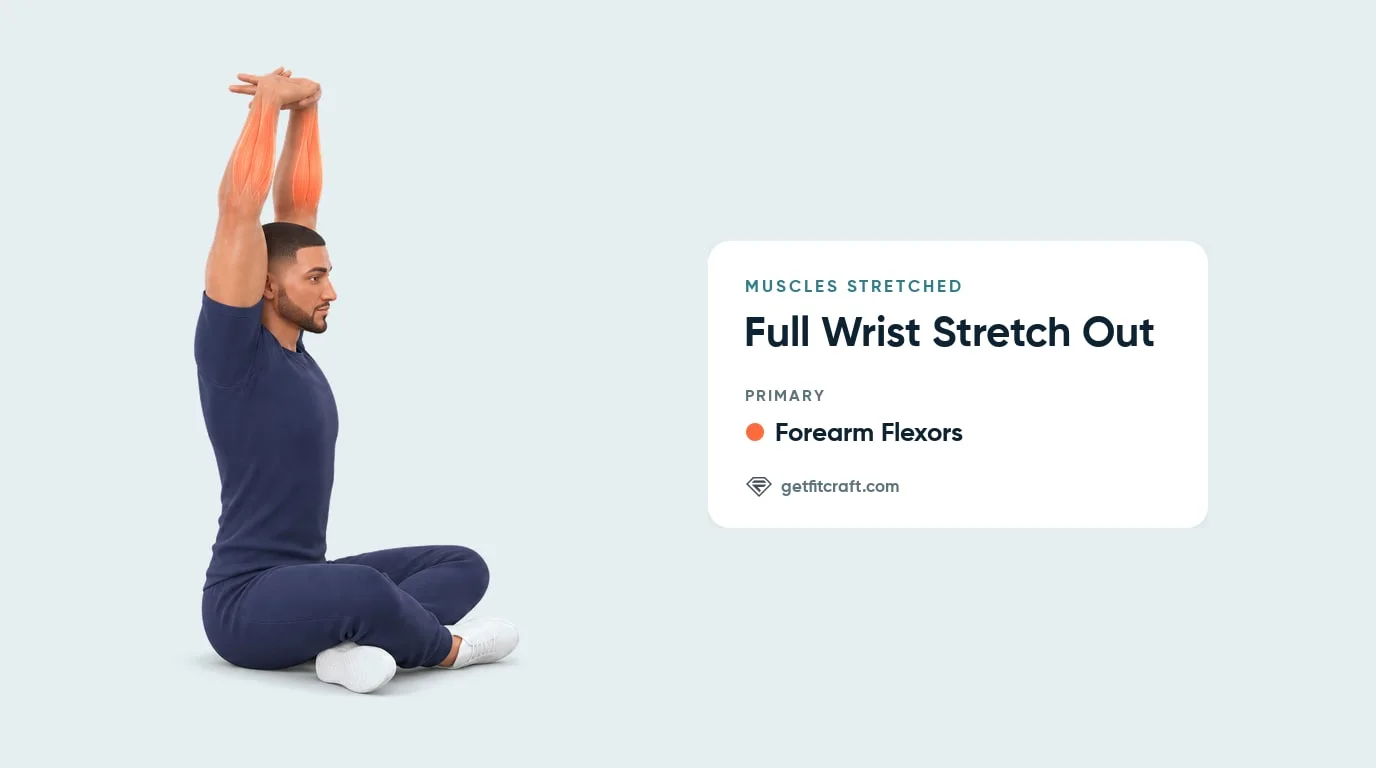 Full wrist stretch out muscles stretched: forearm flexors highlighted on both forearms, seated with arms overhead