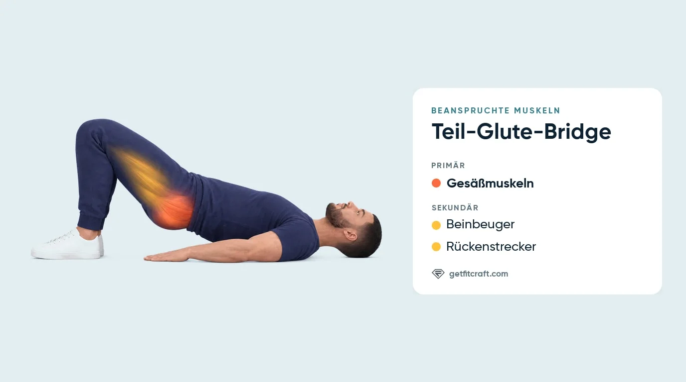 Teil-Glute-Bridge beanspruchte Muskeln: Gesäßmuskeln, Beinbeuger und Rückenstrecker markiert, Mann hebt die Hüfte halb an