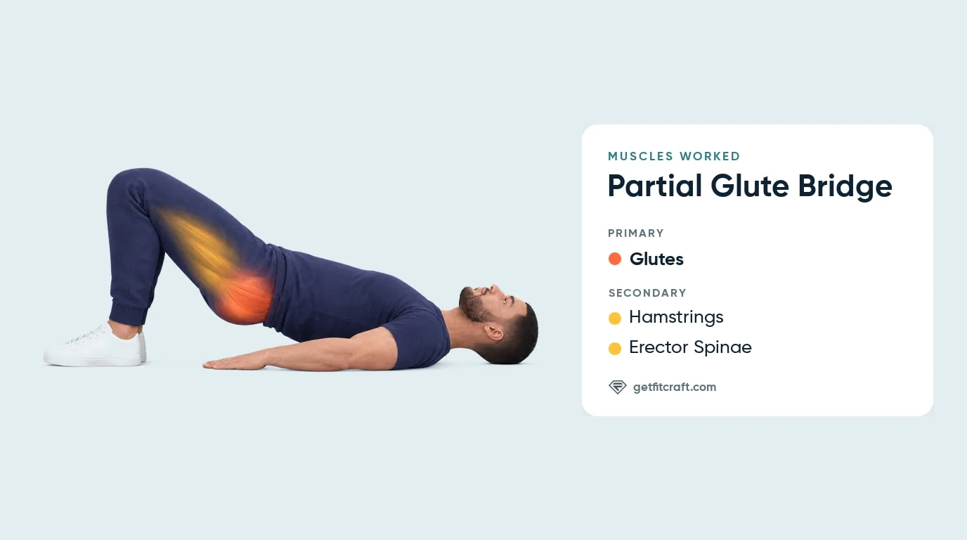 Partial glute bridge muscles worked: glutes, hamstrings and erector spinae highlighted as a man lifts his hips about halfway