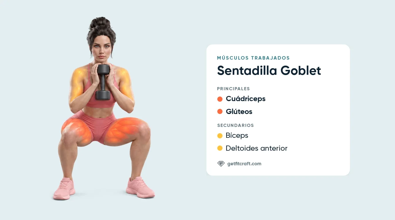 Sentadilla goblet, músculos trabajados: cuádriceps, glúteos, bíceps y deltoides anteriores con una mancuerna al pecho