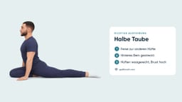 Halbe Taube
