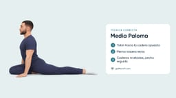 Media Paloma