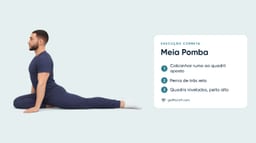 Meia Pomba