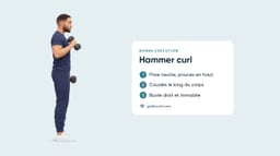 Hammer Curls