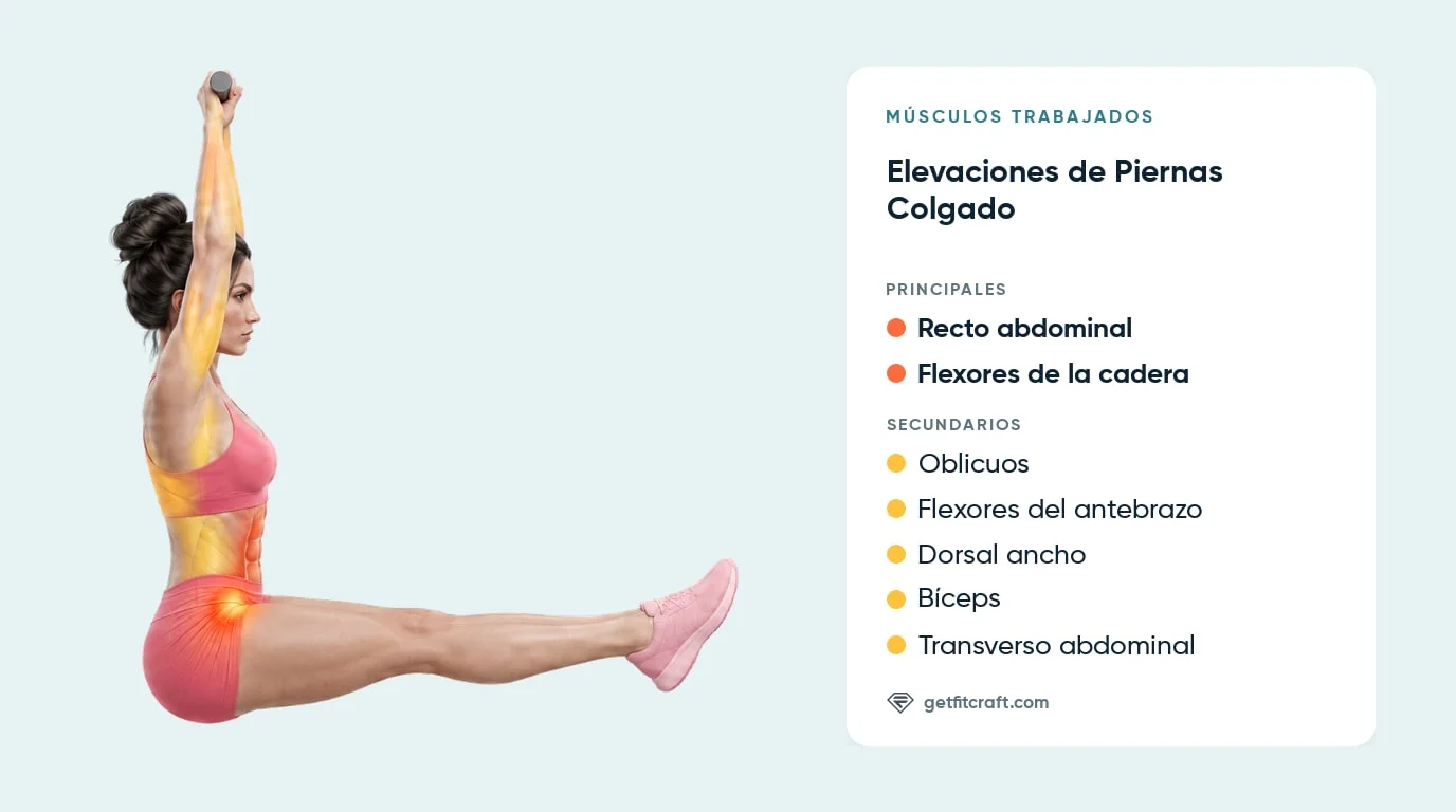 Elevaciones de piernas colgado, músculos: abdominales y flexores de cadera, con oblicuos, core profundo, dorsales, antebrazos y bíceps