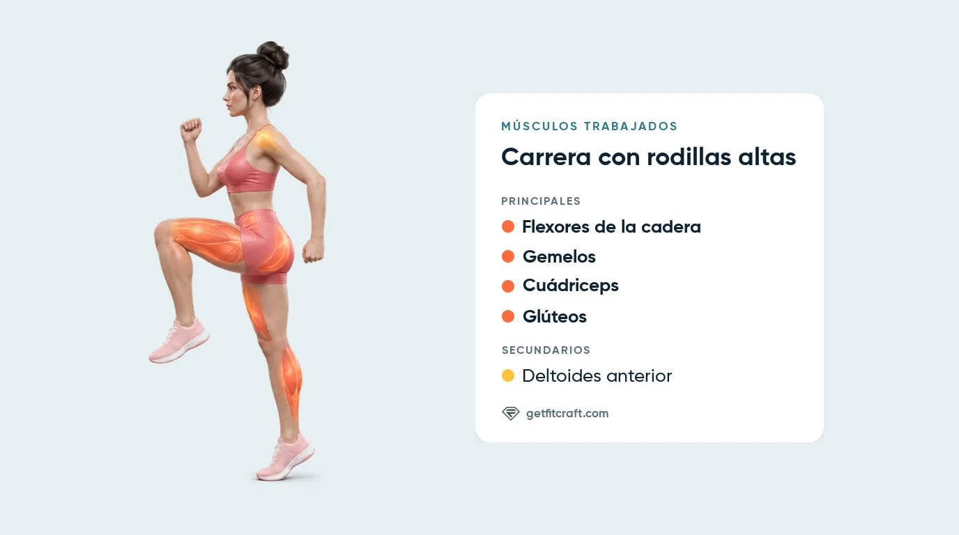 Carrera con rodillas altas: flexores de la cadera, gemelos, cuádriceps y glúteos, y deltoides anterior como apoyo
