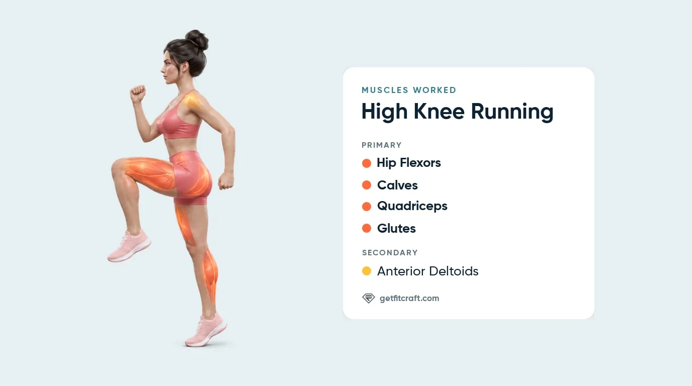 High knee running muscles worked: hip flexors, calves, quadriceps and glutes highlighted, anterior deltoids as helpers