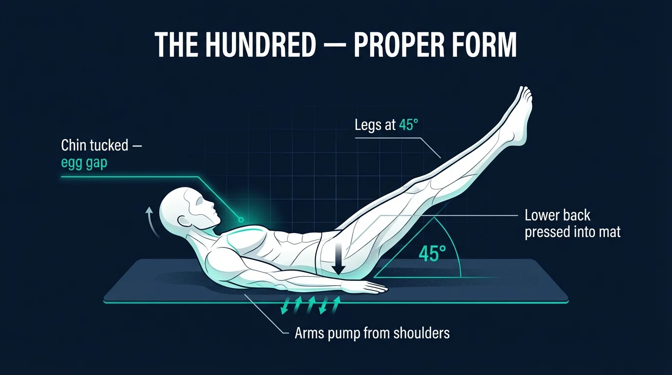 The Hundred proper form showing body position with head and shoulders curled up, legs extended at 45 degrees, and arms pumping alongside hips