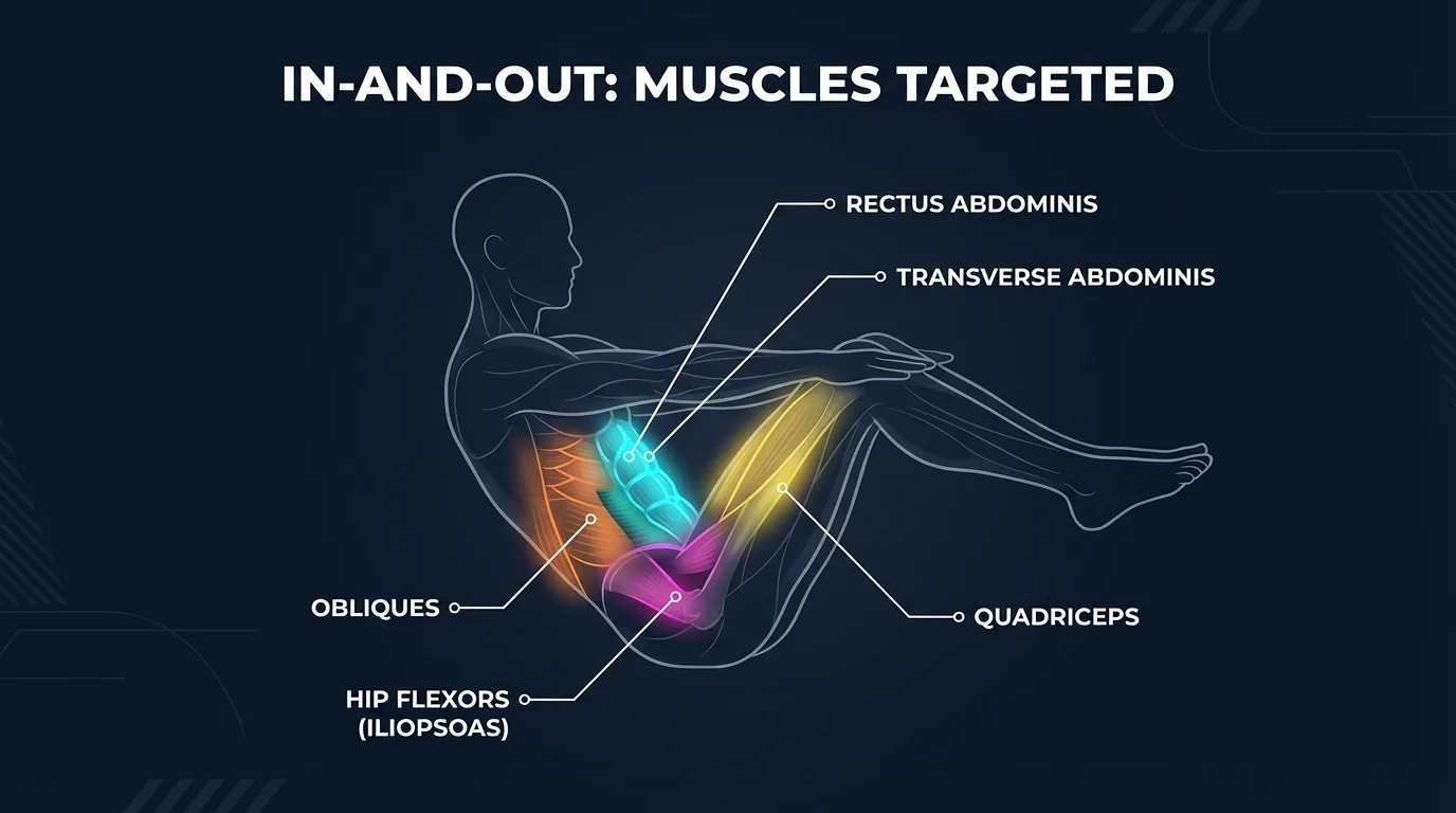 Diagramm der bei In-and-Outs beanspruchten Muskeln mit Rectus abdominis, Transversus abdominis, schraegen Bauchmuskeln, Hueftbeugern und Quadrizeps