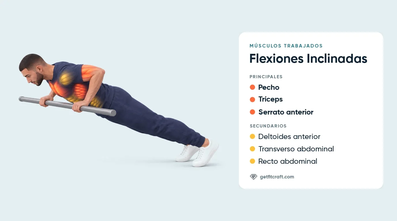 Flexiones inclinadas, músculos trabajados: pecho, tríceps, serrato anterior, deltoides anterior, transverso y recto abdominal
