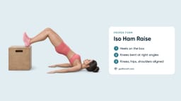 Iso Ham Raise