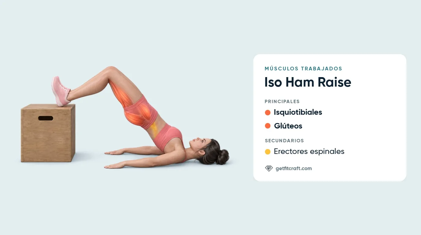 Iso ham raise, músculos trabajados: isquiotibiales y glúteos resaltados, también los erectores espinales, talones en un cajón