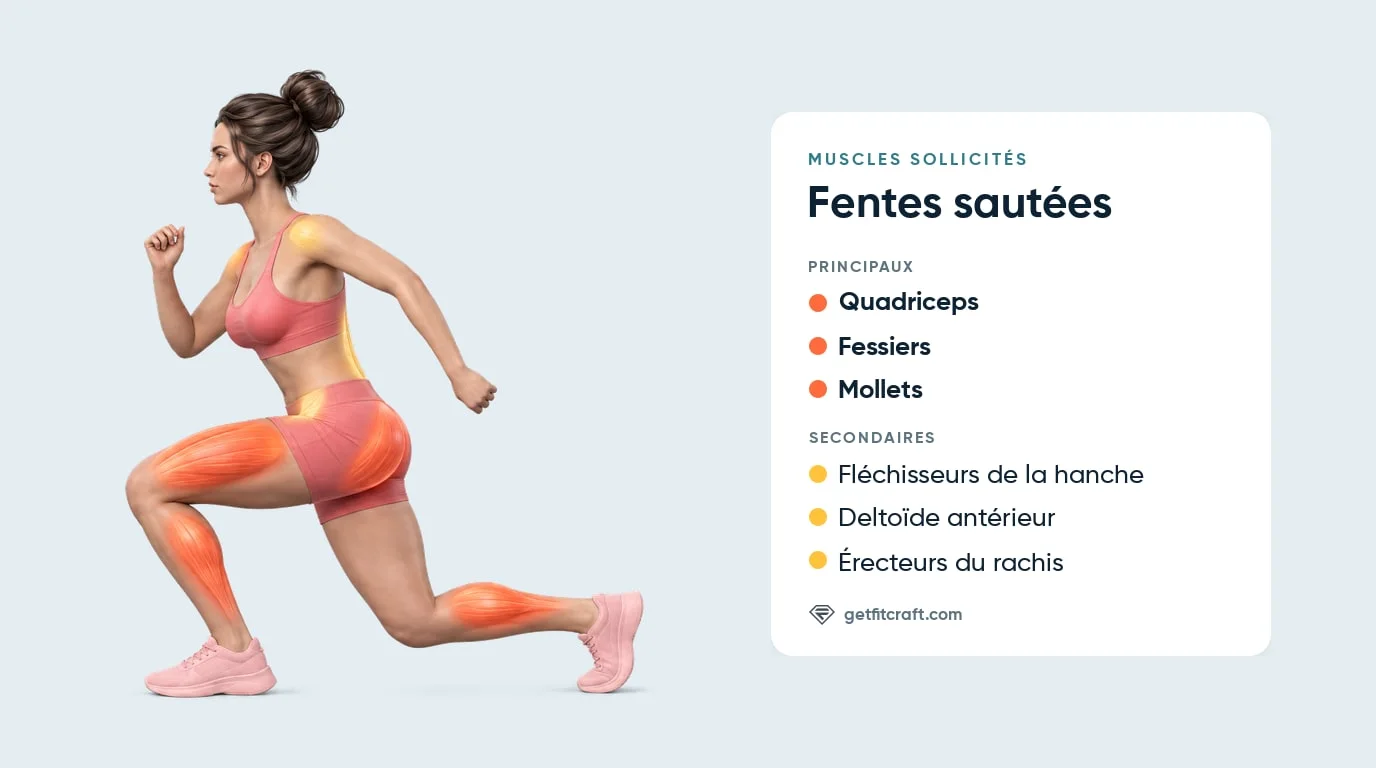 Fentes sautées : quadriceps, fessiers, mollets, fléchisseurs de la hanche, deltoïdes antérieurs et érecteurs du rachis