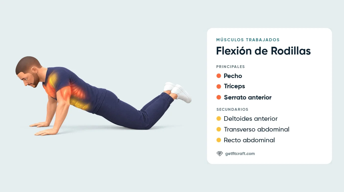 Músculos que trabaja la flexión de rodillas: pecho, tríceps y serrato anterior, con deltoides anterior y abdominales