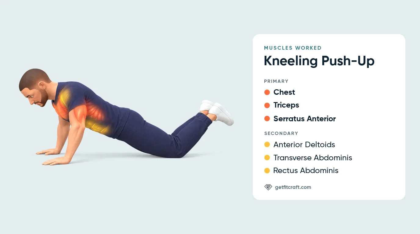 Kneeling push-up muscles worked: chest, triceps and serratus anterior glow, plus front delts, transverse and rectus abdominis