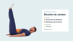 Élévations de Jambes