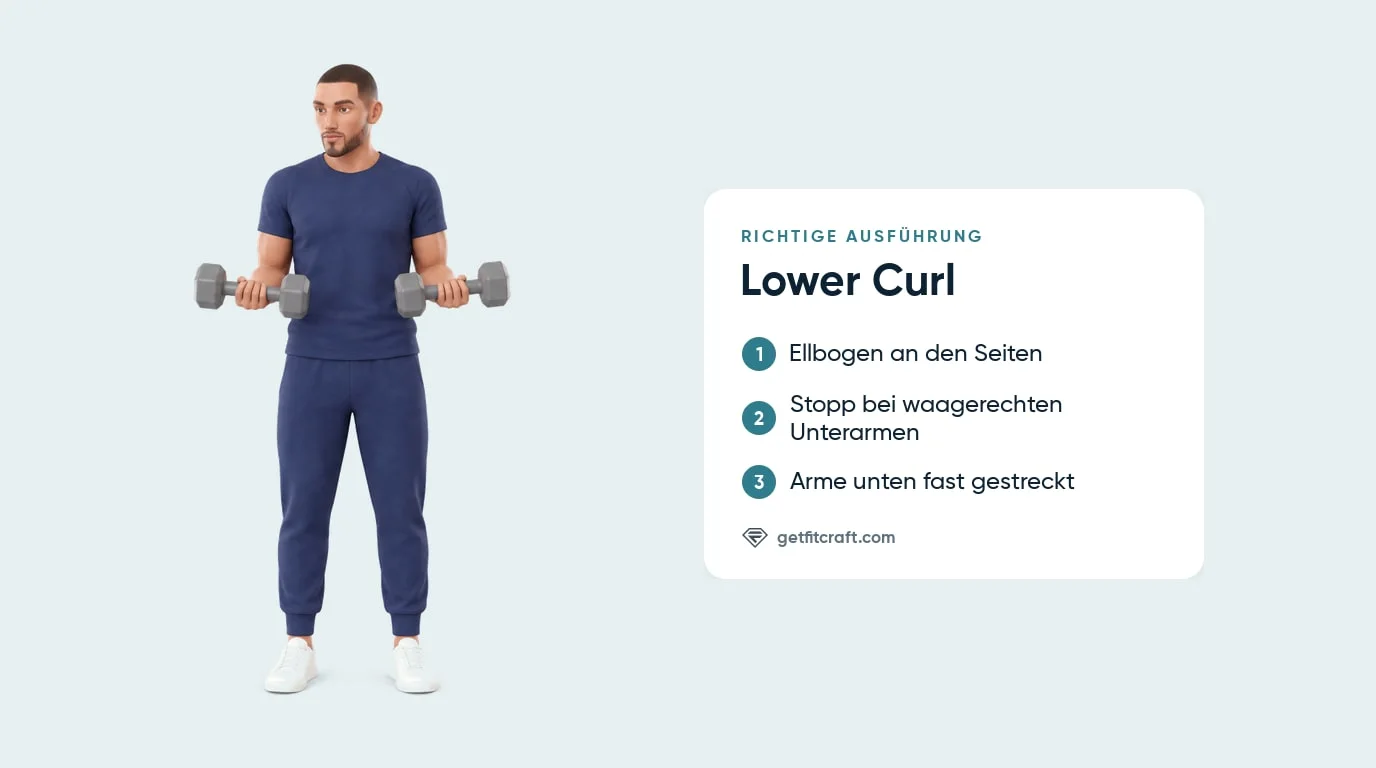 Lower Curl, richtige Technik: Arme gestreckt, Kurzhanteln an den Oberschenkeln, dann Unterarme waagerecht