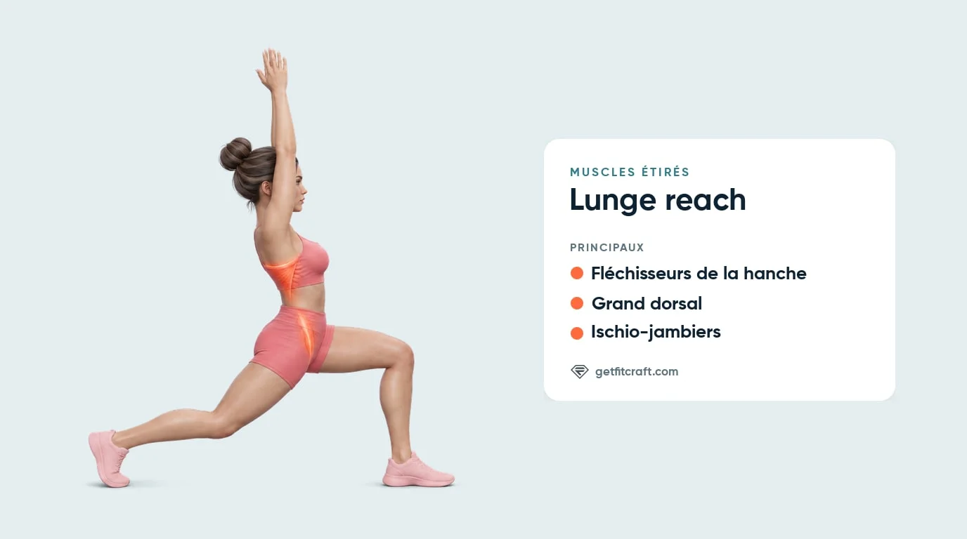 Lunge reach, muscles étirés : fléchisseurs de la hanche et grand dorsal en surbrillance, ischio-jambiers listés
