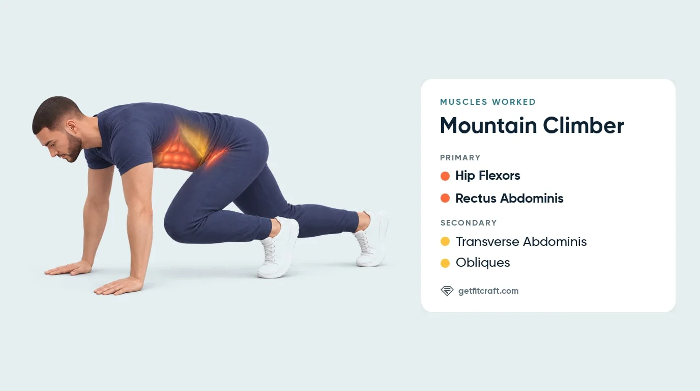 Mountain climber muscles worked: hip flexors and rectus abdominis highlighted, transverse abdominis and obliques helping