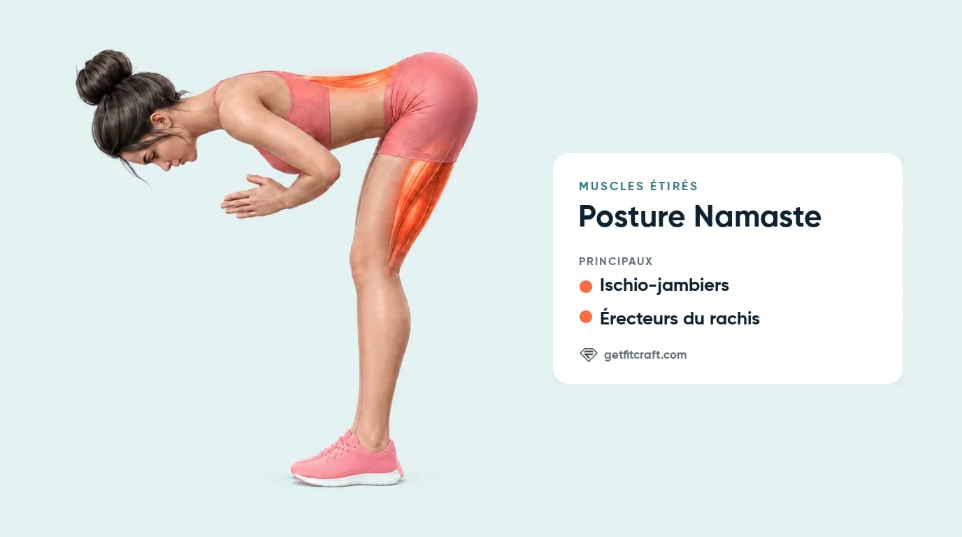 Posture namaste, muscles étirés : ischio-jambiers et érecteurs du rachis dans une flexion avant debout, paumes jointes
