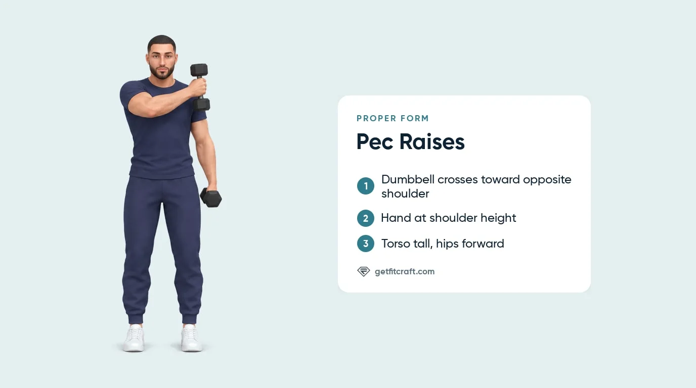 Pec raises proper form, front view: one dumbbell raised across toward the opposite shoulder, thumb on top, torso tall