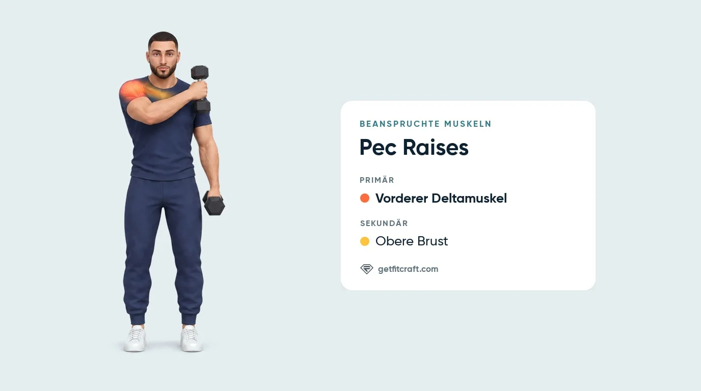 Pec Raises, Muskeln: Vorderer Deltamuskel als Hauptmuskel, obere Brust als Hilfsmuskel, Kurzhantel quer