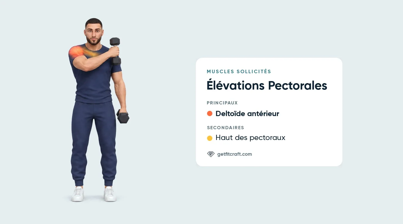 Élévations pectorales : deltoïde antérieur en principal, haut des pectoraux en secondaire, haltère en travers