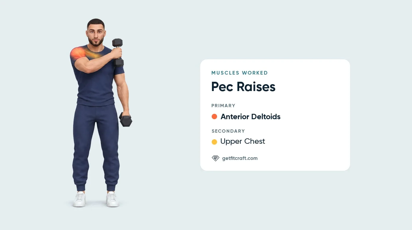 Pec raises muscles worked: anterior deltoids highlighted as primary, upper chest as secondary, dumbbell across the chest