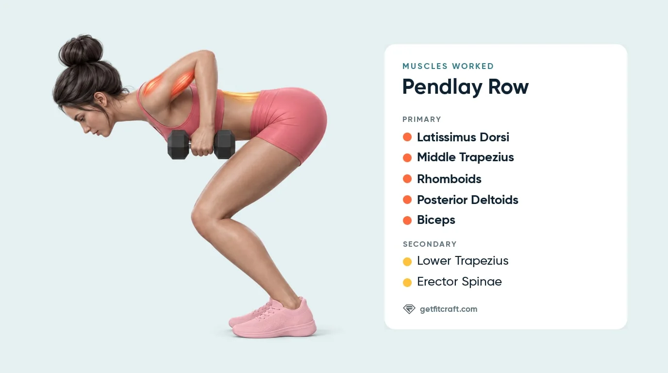 Pendlay row muscles worked: lats, mid traps, rhomboids, rear delts and biceps, dumbbells pulled up to the ribs, back flat