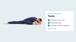 Taube