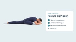 Posture du Pigeon