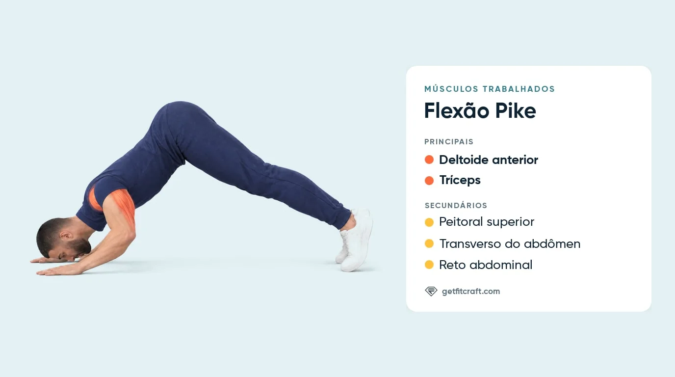 Músculos trabalhados na flexão pike: deltoides anteriores e tríceps em destaque, peitoral superior e abdômen auxiliando