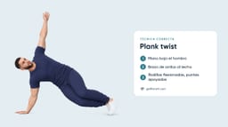 Plank Twists