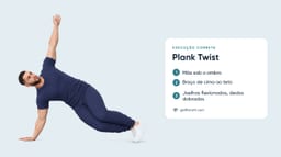 Plank Twists