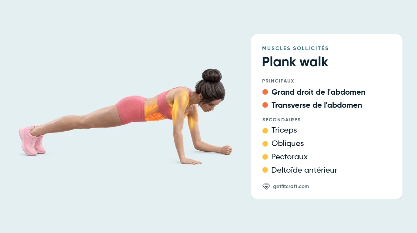 Plank walk, muscles travaillés : abdos en évidence, triceps, pectoraux, deltoïdes antérieurs et obliques en renfort, avant-bras au sol