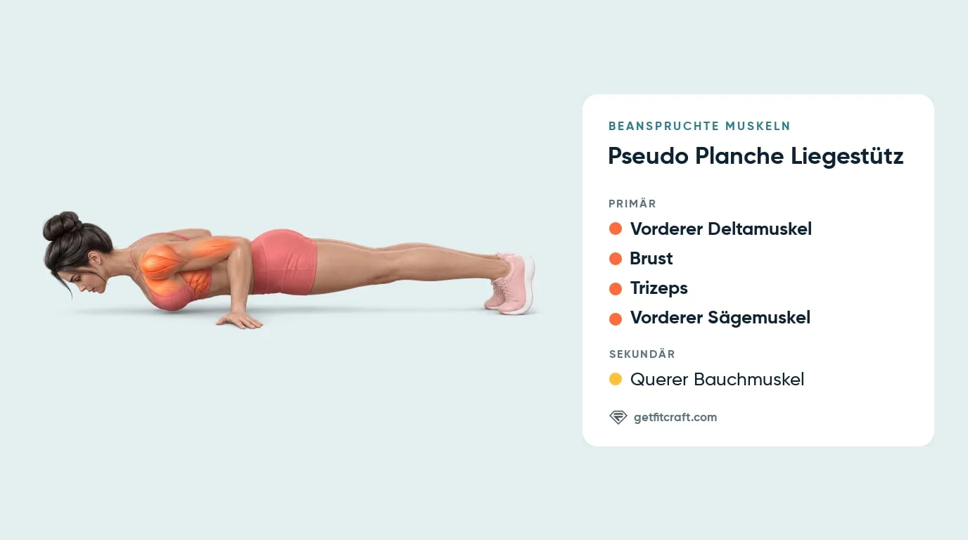 Pseudo Planche Liegestütze trainierte Muskeln: vordere Schulter, Brust, Trizeps und Serratus markiert, Rumpf hilft