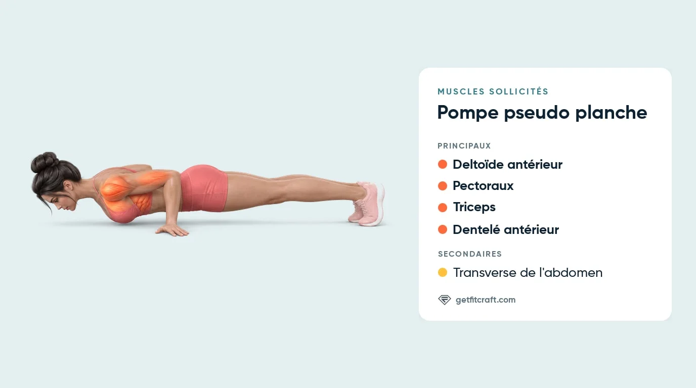 Pompe pseudo planche, muscles sollicités : deltoïdes antérieurs, pectoraux, triceps, dentelé antérieur en évidence, core en renfort