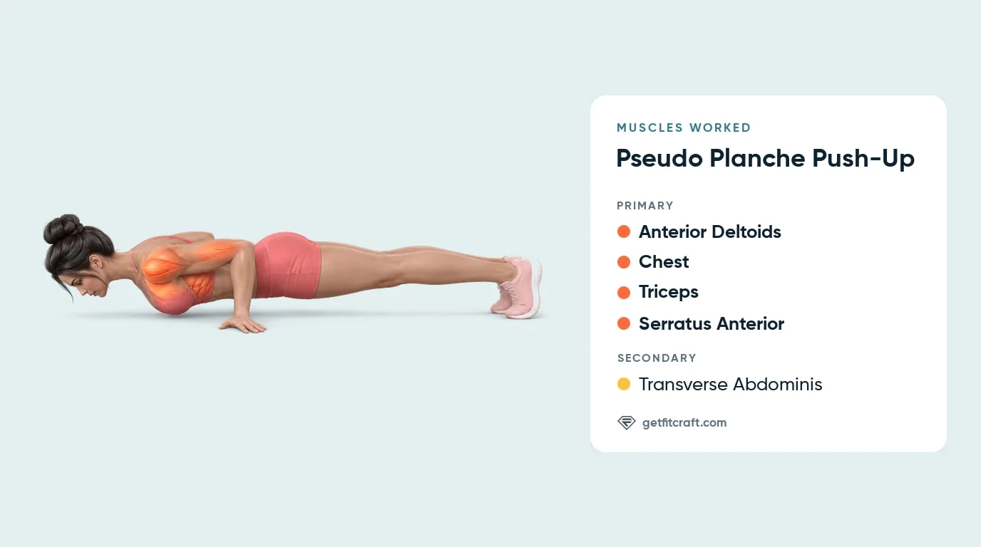 Pseudo planche push-up muscles worked: front delts, chest, triceps and serratus highlighted, core helping, hands by the waist