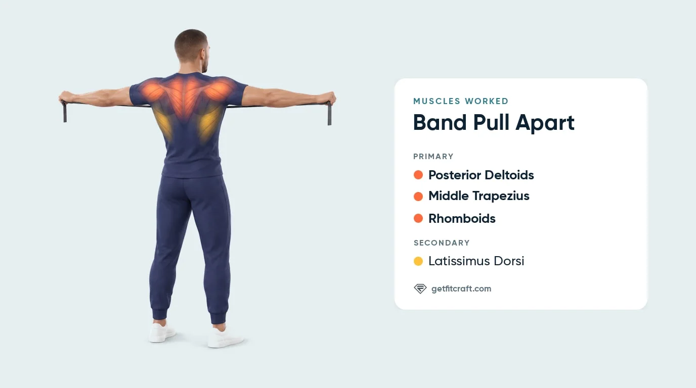 Band pull aparts muscles worked: rear delts, mid traps and rhomboids highlighted, lats helping, man holding a band in a T