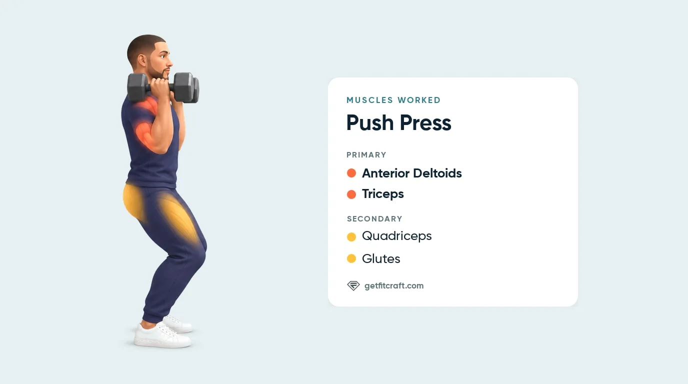 Push press muscles worked: anterior deltoids and triceps as primary, quadriceps and glutes as secondary, side view in the dip