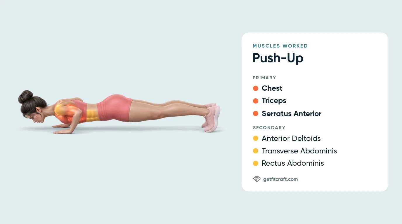 Push-ups muscles worked: chest, triceps, serratus anterior, plus anterior deltoids, transverse abdominis and rectus abdominis