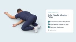 Enfiler l'Aiguille à Quatre Pattes