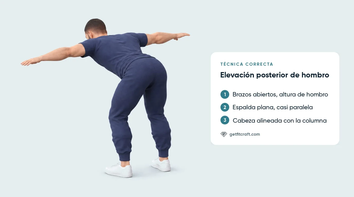 Elevación posterior de hombro, forma correcta sin pesas: caderas atrás, espalda plana, pecho casi paralelo, brazos en T