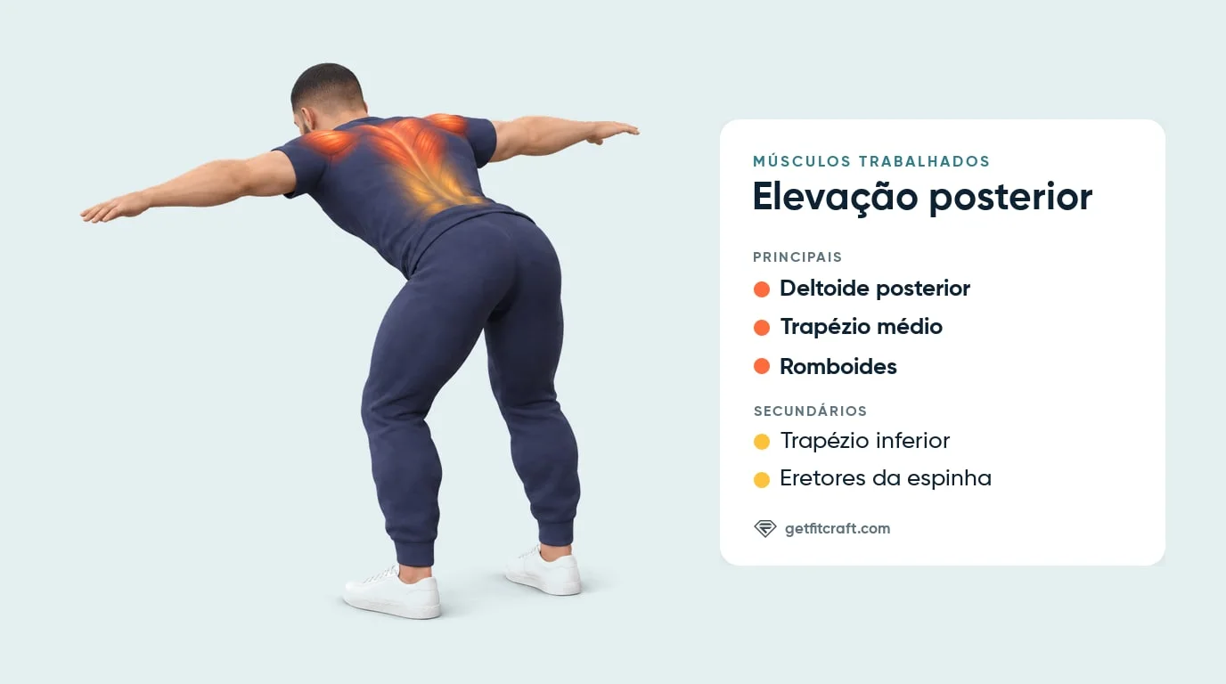 Elevação posterior, músculos: deltoides posteriores, trapézio médio, romboides; trapézio inferior, eretores da espinha