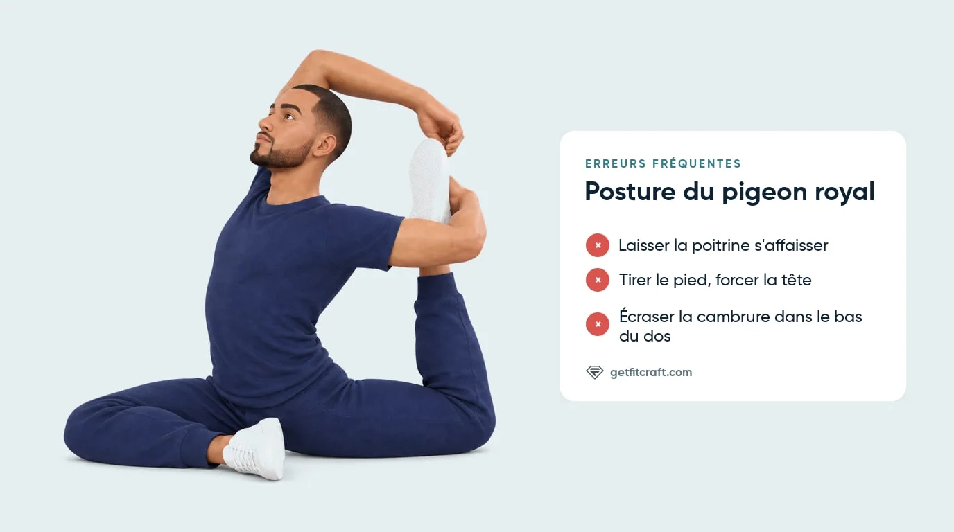 Pigeon royal bien fait et erreurs courantes : poitrine affaissée, pied tiré, tête forcée, bas du dos écrasé