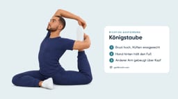 Königstaube