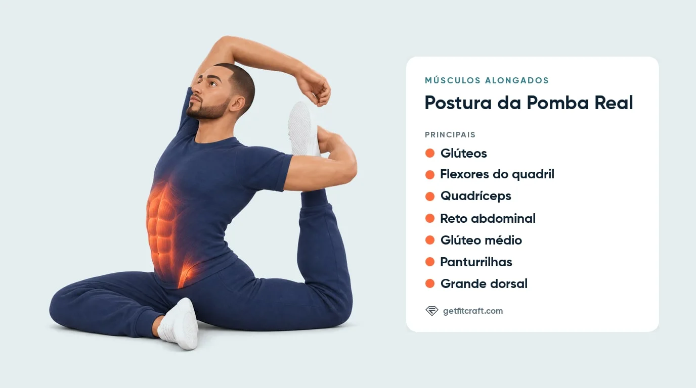 Postura da pomba real, músculos alongados: abdômen e flexores do quadril em destaque, mais glúteos e quadríceps
