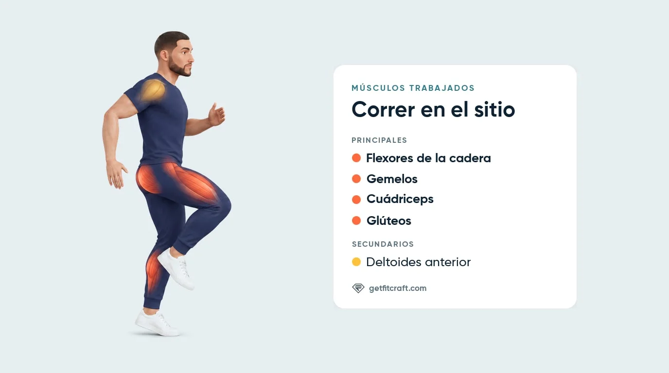Músculos que trabaja correr en el sitio: flexores de la cadera, gemelos, cuádriceps y glúteos; deltoides anterior secundario