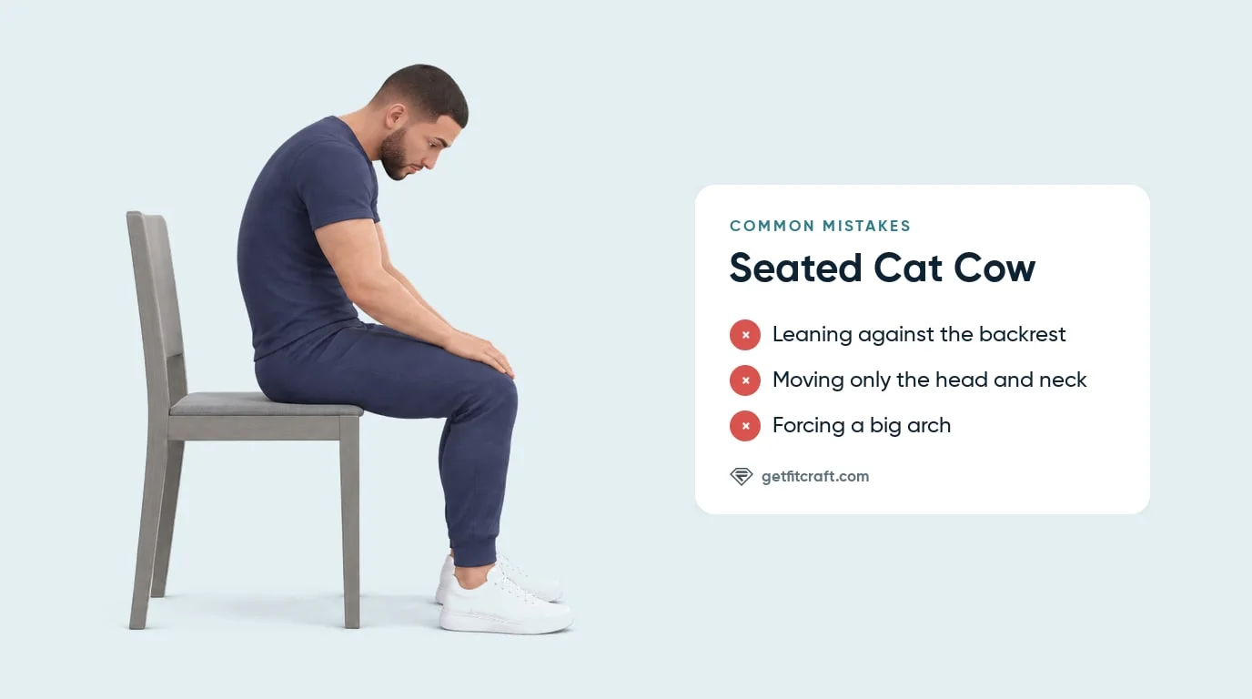 Seated cat cow done correctly in the rounded cat position, back clear of the backrest, beside a list of common mistakes