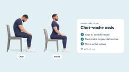 Chat-Vache Assis
